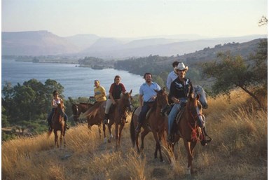חוות נופש ורד הגליל - דירות אירוח