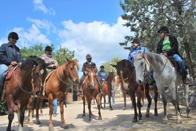 חוות נופש ורד הגליל - דירות אירוח