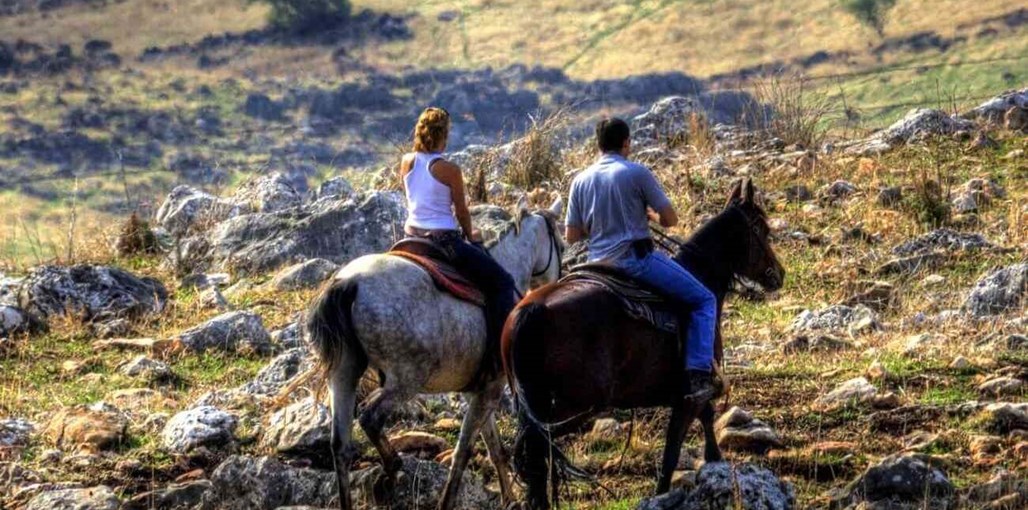 חוות נופש ורד הגליל המתחם (6).jpg