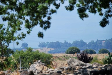 חוות נופש ורד הגליל - בקתות