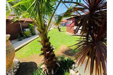 פנינת הצפון