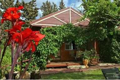 אחוזת שפרה – נוף לים התיכון - החצר והנוף