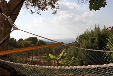 אחוזת שפרה – נוף לים התיכון - החצר והנוף