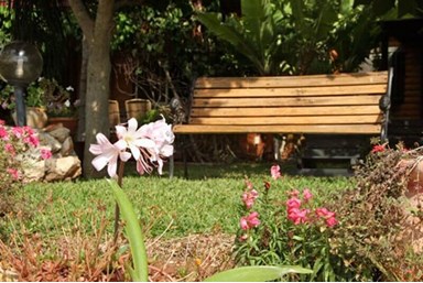 אחוזת שפרה – נוף לים התיכון - החצר והנוף