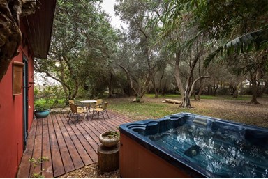 אחוזת שפרה – נוף לים התיכון - הבקתה המבודדת