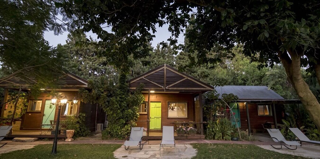 אחוזת שפרה – נוף לים התיכון חדש חצר ונוף (5).jpg