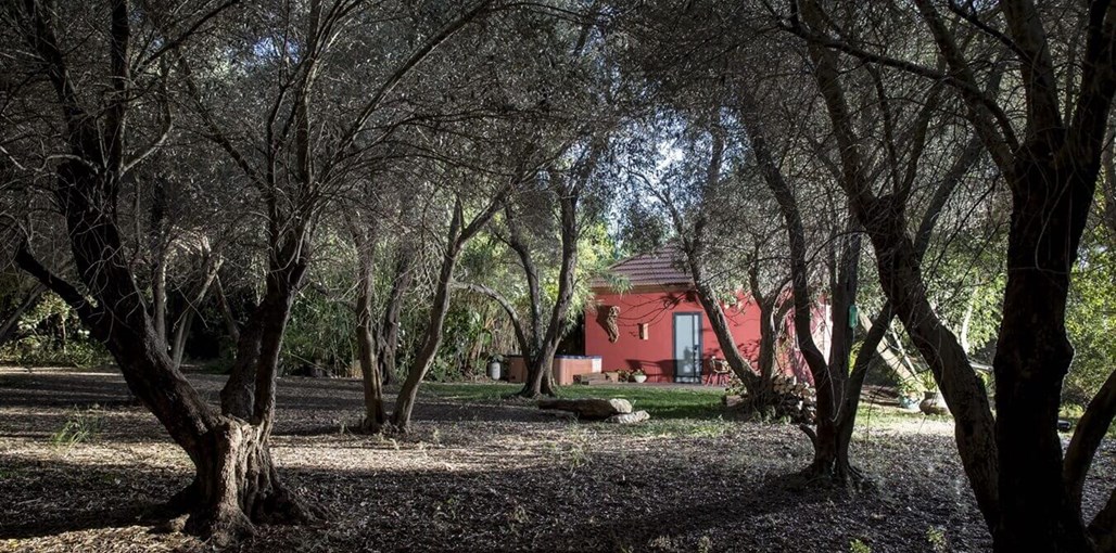 אחוזת שפרה – נוף לים התיכון חדש בקתה מבודדת (5).jpg