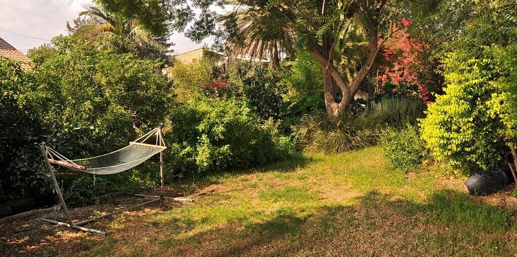 בקתות עמיחי חצר ובריכה (17).JPG