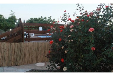 בקתות בטבע  - החצר והבריכה