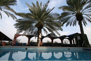 בקתות עץ - נוף ירדן - החצר, הבריכה והספא